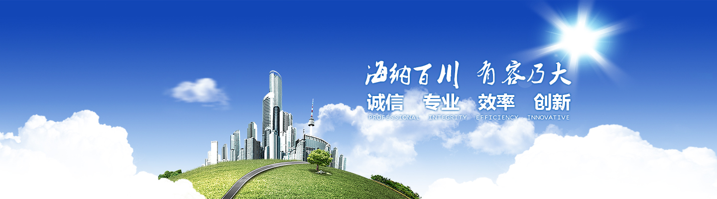 NE板鏈提升機(jī)